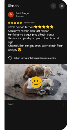 Rating Google 11